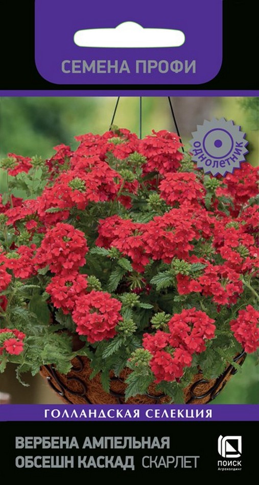 Вербена ампельная Обсешн Каскад Скарлет, 7 шт. Семена профи