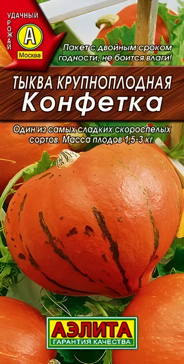 Тыква крупноплодная Конфетка, 2 г