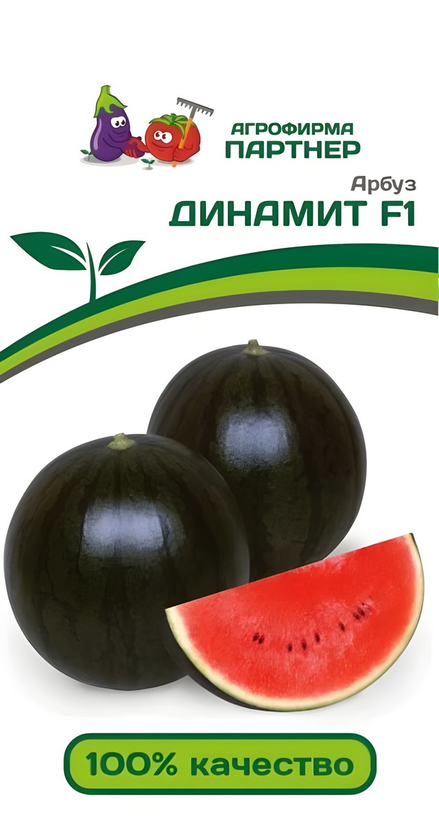Арбуз Динамит F1, 5 шт. Агрофирма Партнер