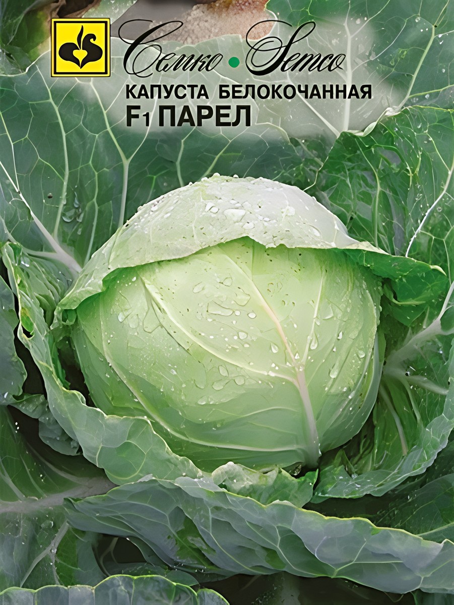 Капуста белокочанная F1 Парел, 0,1 г