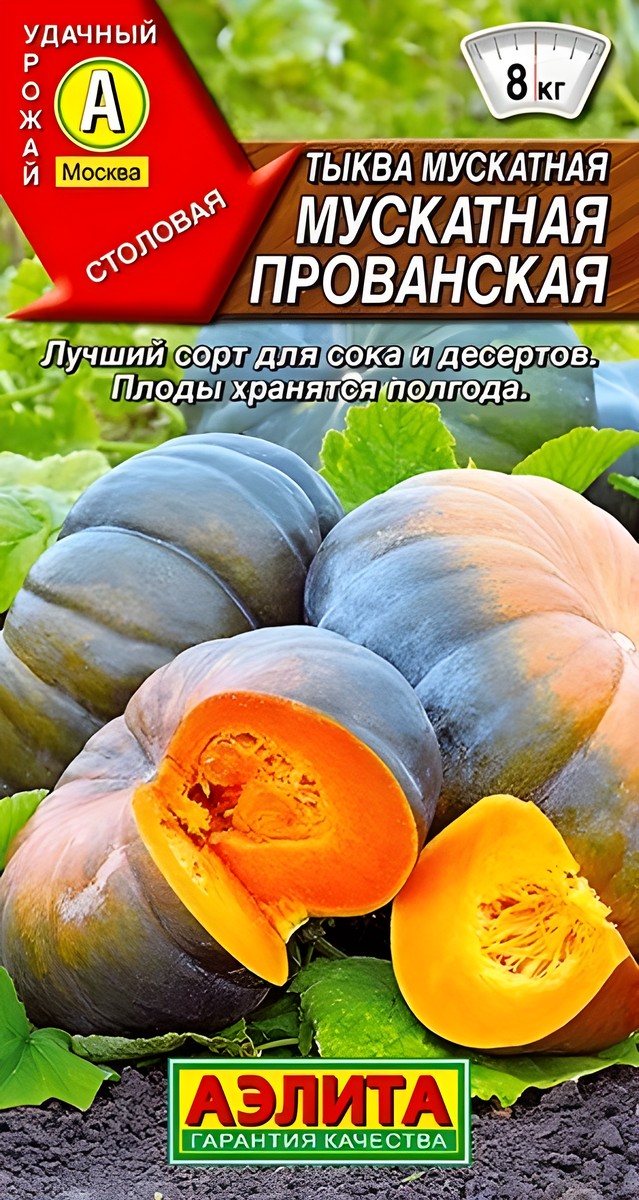 Тыква мускатная Мускатная Прованская, 1 г