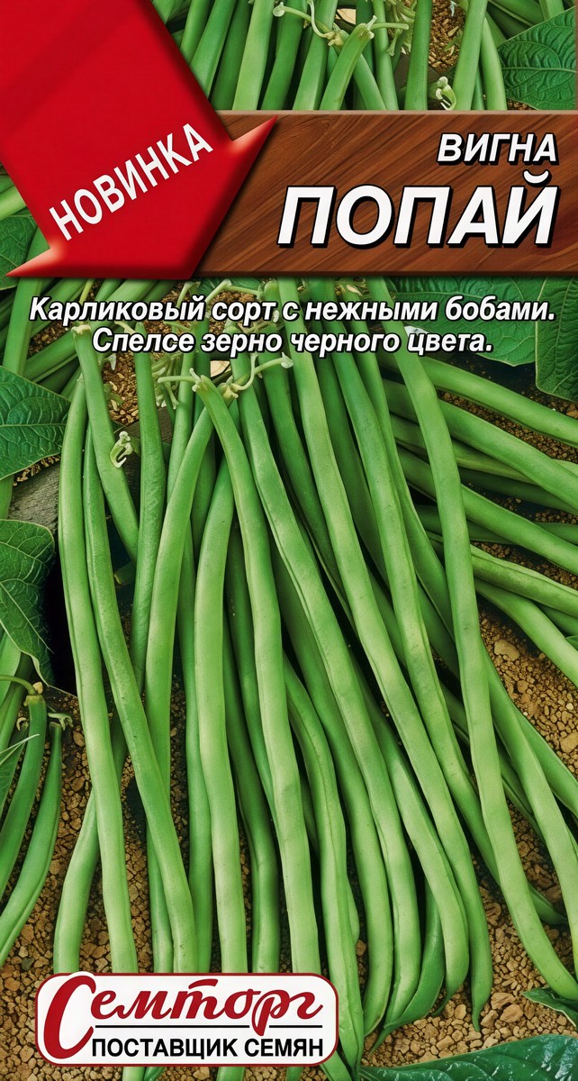 Вигна Попай, 3 г