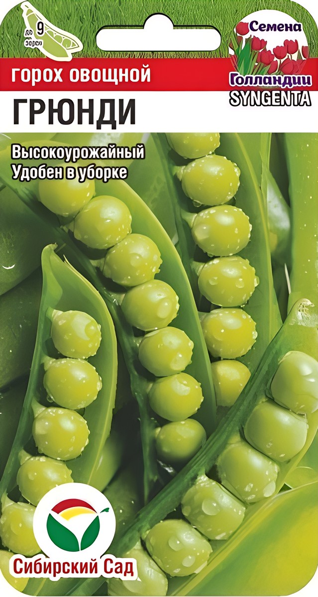 Горох Грюнди, 4 г. Семена Голландии. Сибирский сад.