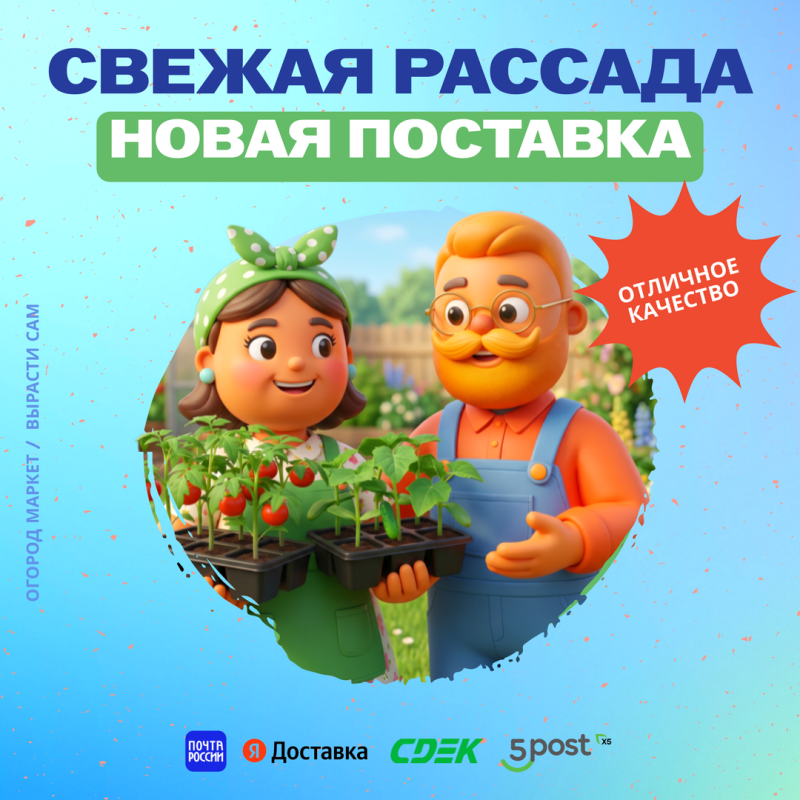 Свежая рассада уже в нашем магазине