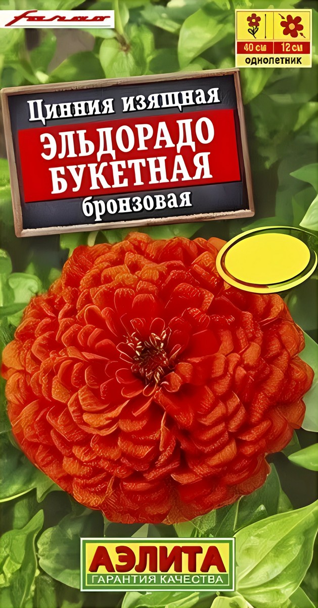 Цинния Эльдорадо букетная бронзовая, 12 шт.