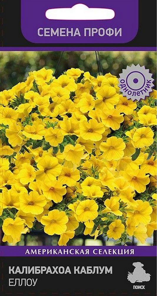 Калибрахоа Каблум Еллоу, 5 шт. Семена профи