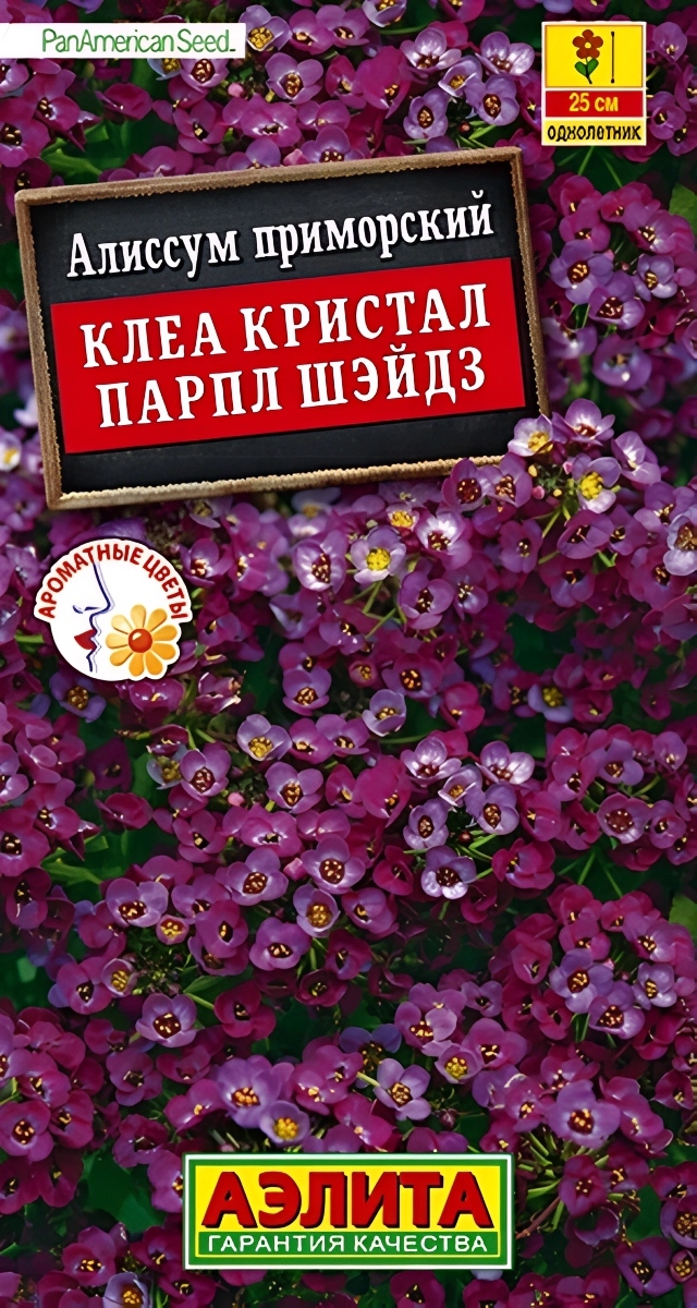 Алиссум Клеа кристал парпл шэйдз, 4 шт.