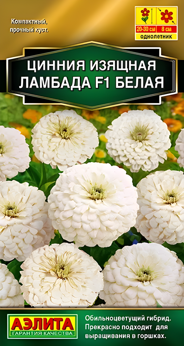 Цинния изящная Ламбада F1, белая, 12 шт.