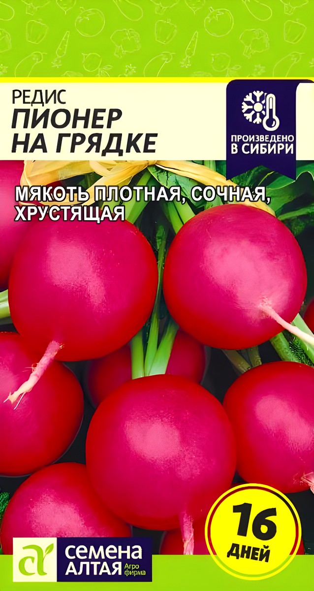 Редис Пионер на Грядке, 1 г