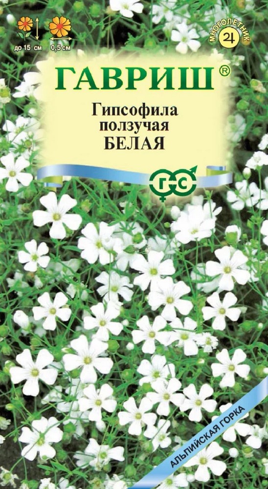 Гипсофила ползучая Белая, 0,05 г. Альпийская горка.