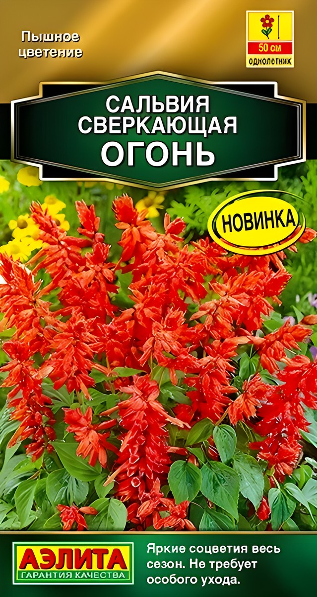 Сальвия сверкающая Огонь, 0,05 г