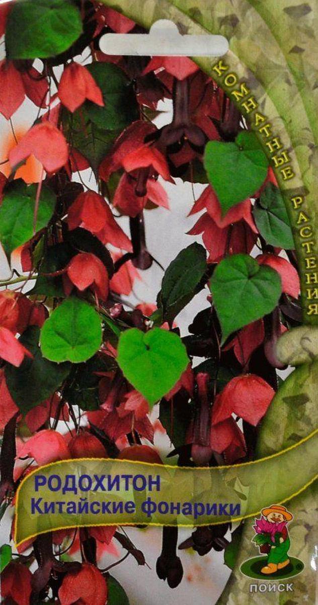 Родохитон Китайские фонарики, 5 шт.