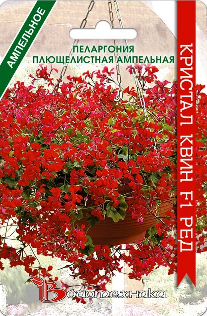 Пеларгония плющелистная ампельная Кристал Квин F1 Ред, 5 шт. Биотехника
