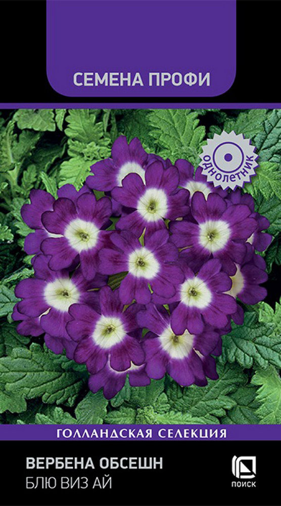 Вербена Обсешн Блю виз Ай, 10 шт. Семена Профи