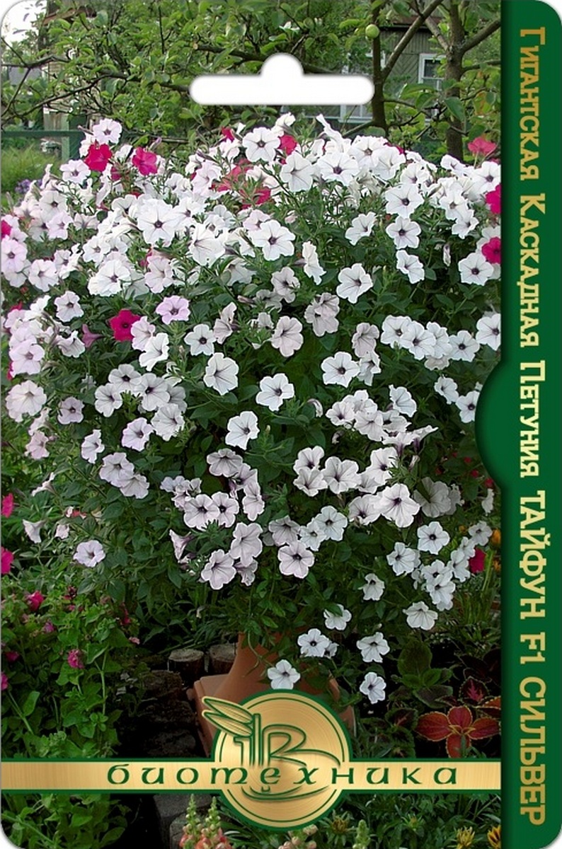 Петуния гигантская каскадная Тайфун F1 Сильвер, 5 шт. Биотехника
