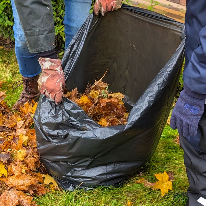 Растительные остатки – источник проблем весной. Убираем правильно!