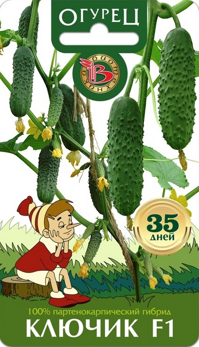 Огурец Ключик F1, 8 шт. Биотехника