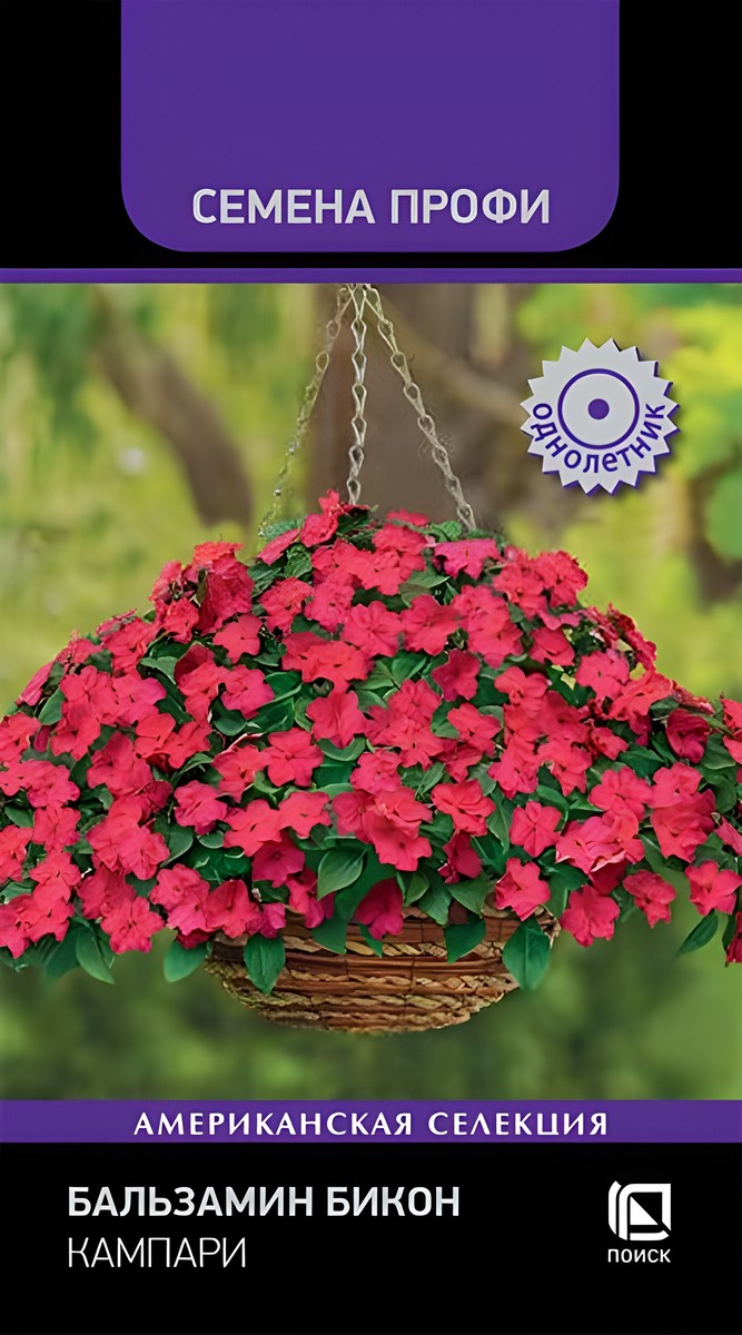 Бальзамин Бикон Кампари, 7 шт. Семена Профи.