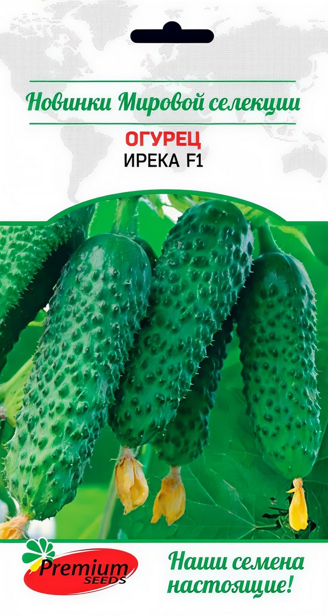 Огурец Ирека F1, 5 шт.