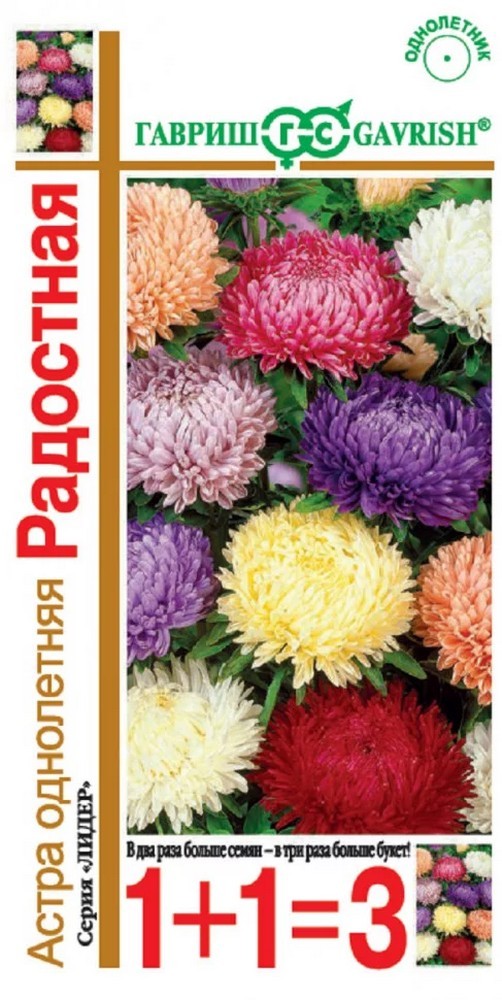 Астра Букет роскошный школьный, смесь, 0,5 г. 1+1