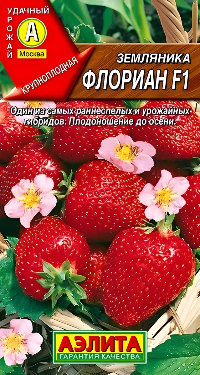Земляника крупноплодная Флориан F1, 5 шт. 