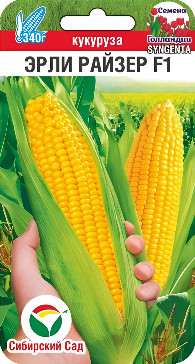 Кукуруза Эрли Райзер, 5 шт. Семена Голландии