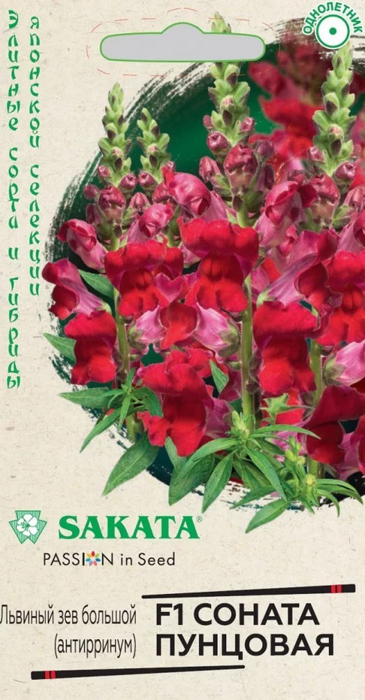 Антирринум Соната, пунцовая F1, 10 шт.