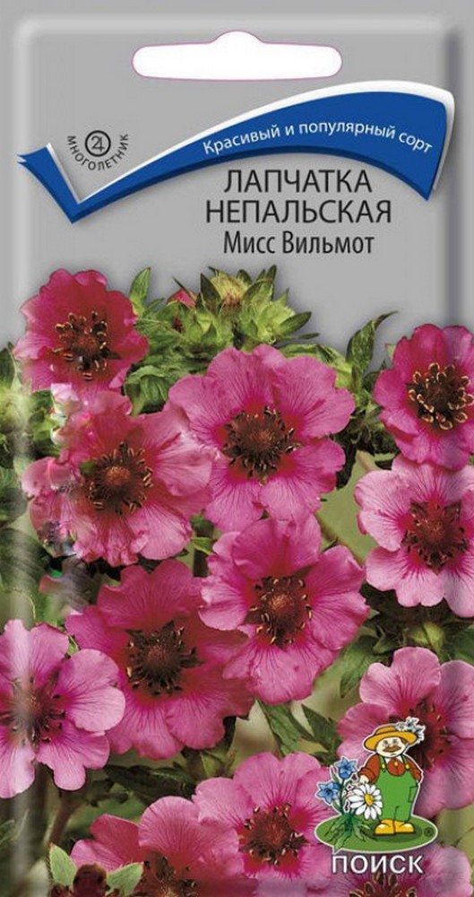 Лапчатка Непальская Мисс Вильмонт, 0,1 г