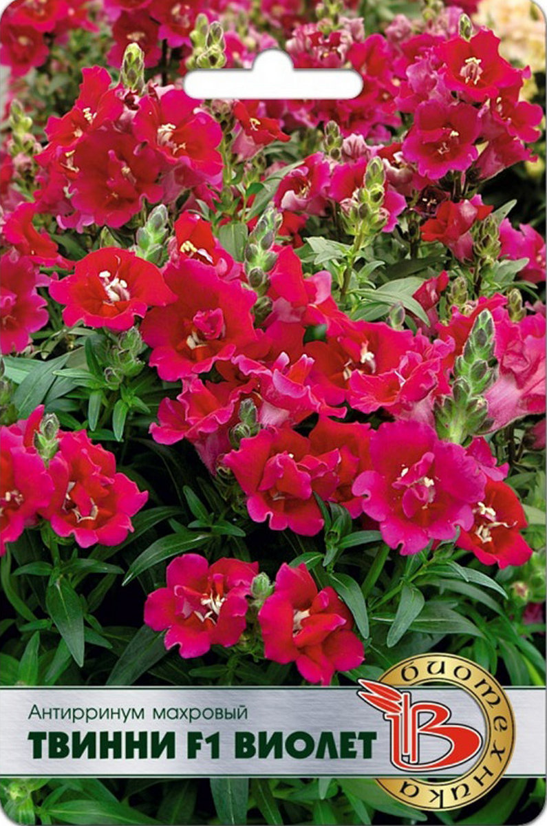 Антирринум махровый Твинни F1 Виолет, 15 шт. Биотехника