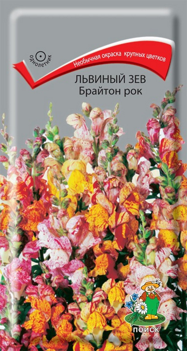 Львиный зев Брайтон рок, 0,2 г