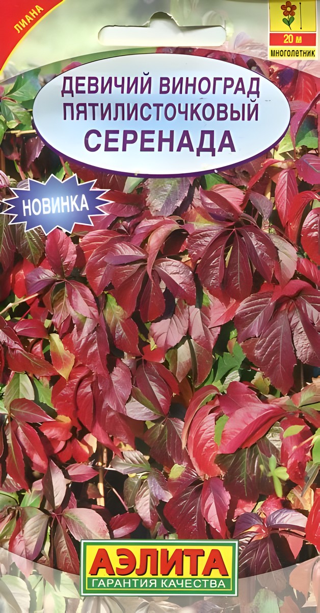 Девичий виноград Серенада, 10 шт. 