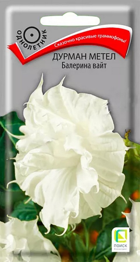 Дурман метел Балерина вайт, 3шт.