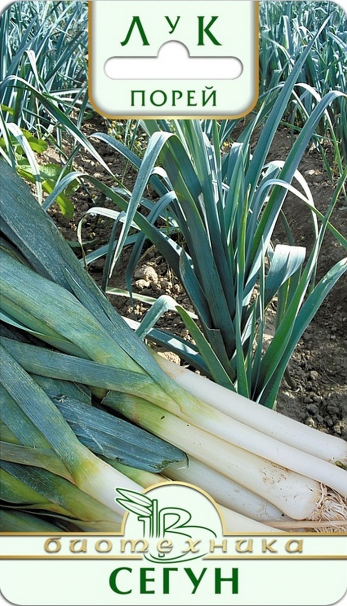 Лук порей Сегун, 0,5 г Биотехника