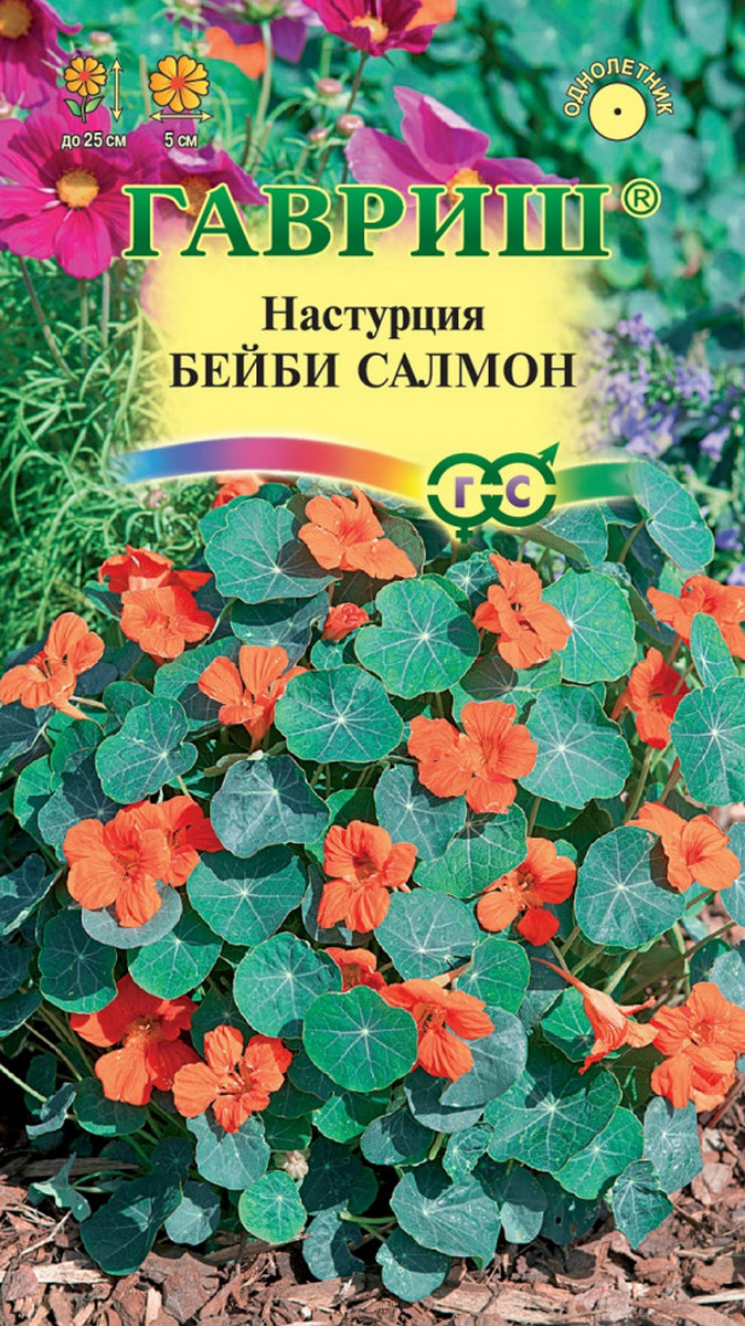 Настурция Бейби салмон, 1 г