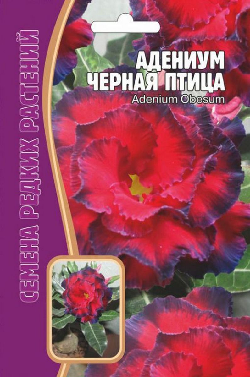 Адениум Черная Птица, 3 шт. Редкие семена.