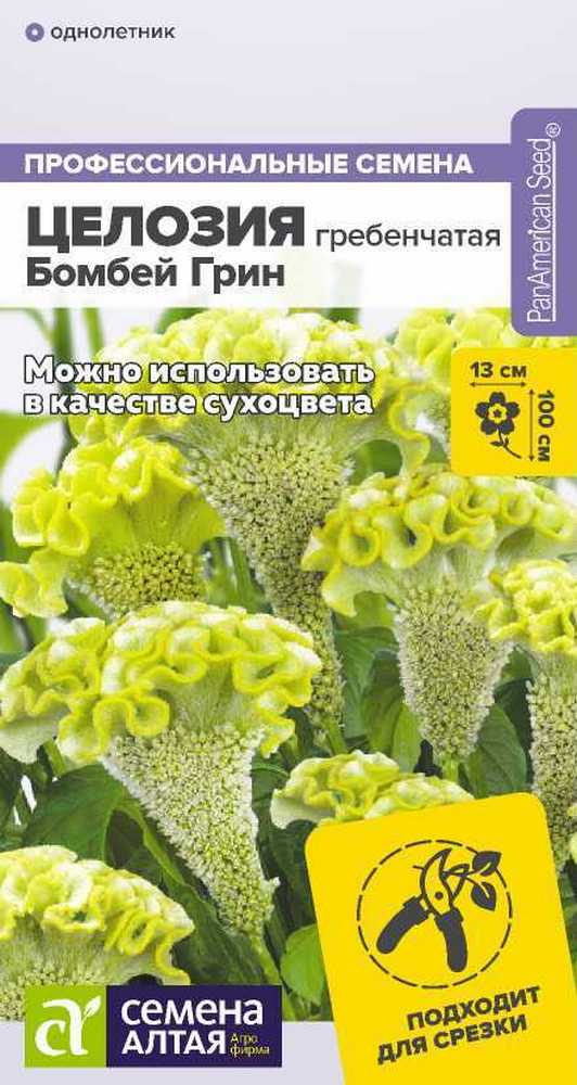 Целозия Бомбей Грин гребенчатая, 3 шт. 