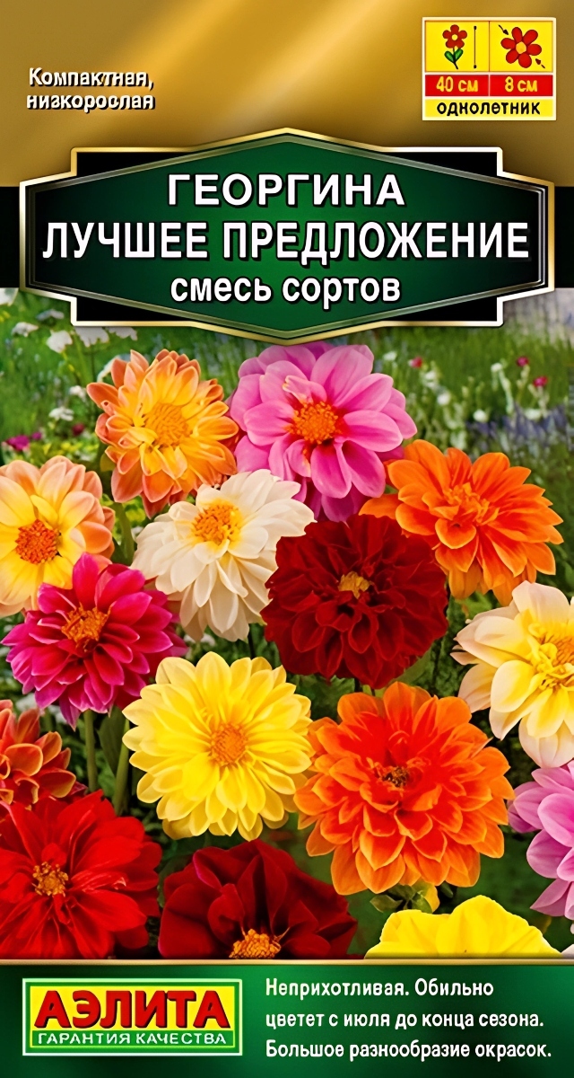 Георгина Лучшее предложение, смесь сортов, 7 шт.