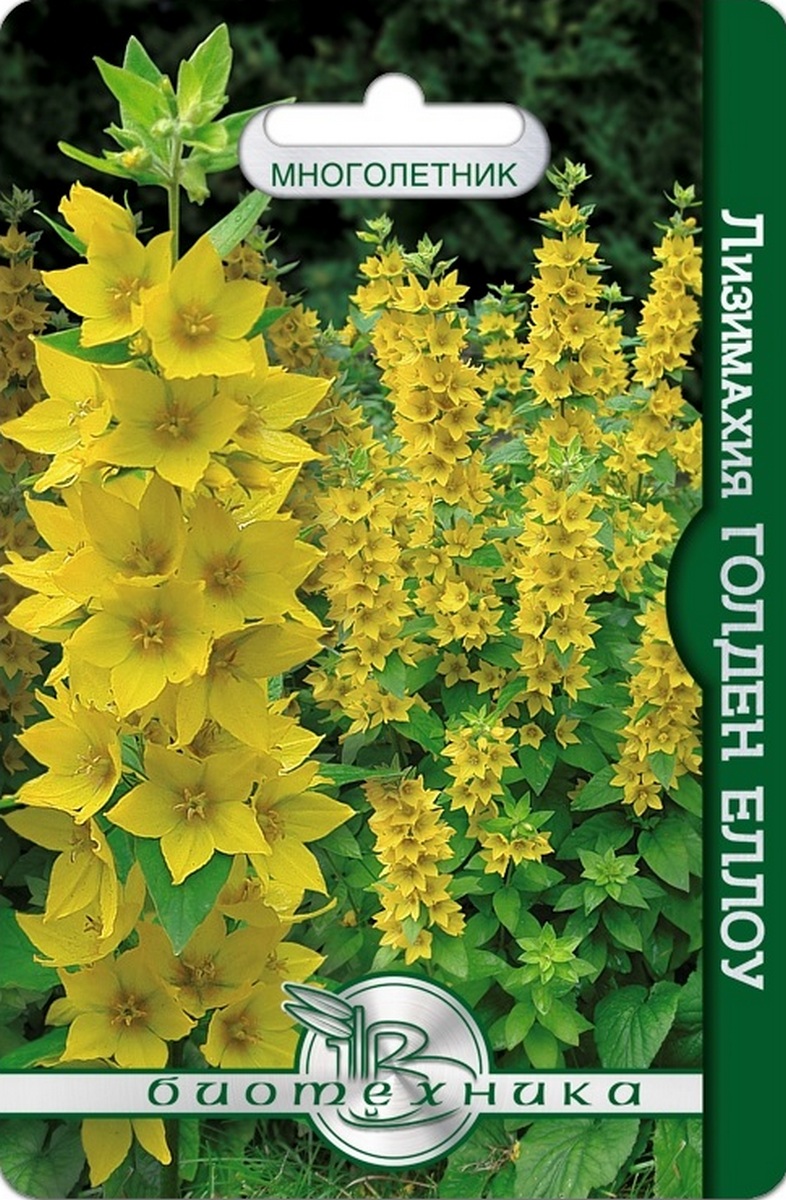 Лизимахия Голден Елло, 80 шт. Биотехника