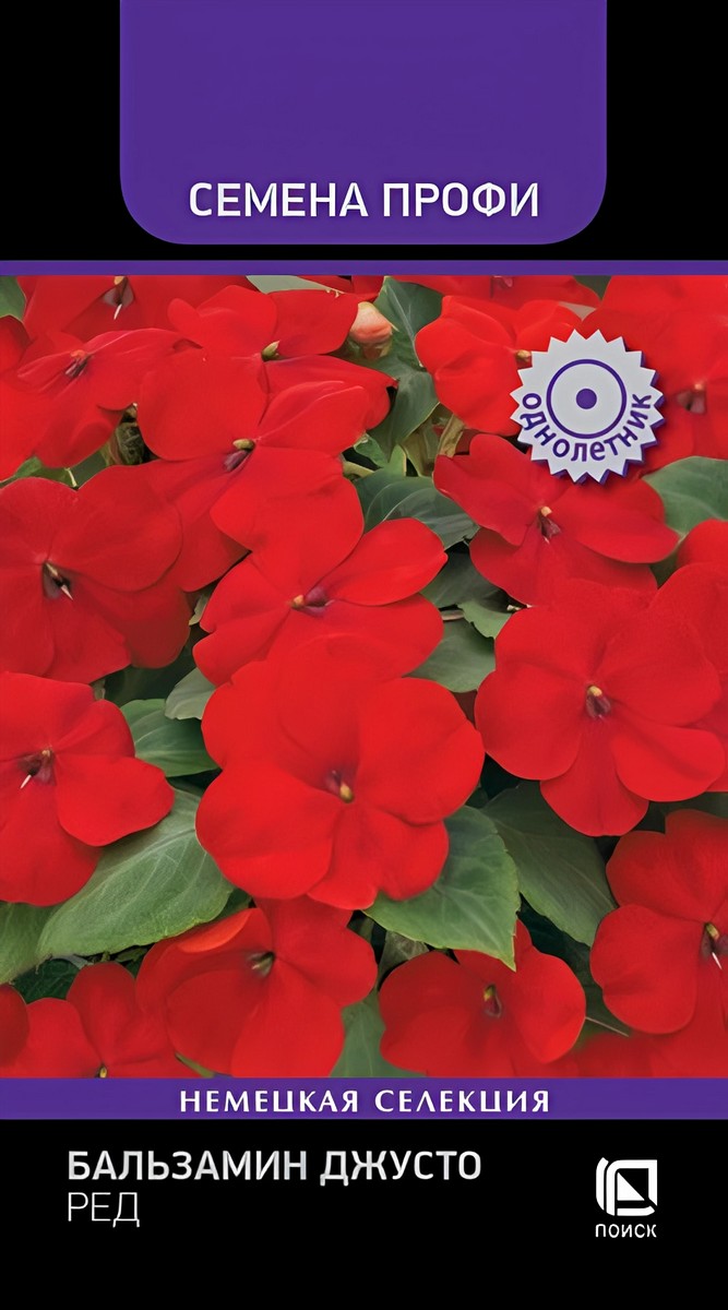 Бальзамин Джусто Ред, 10 шт. Семена Профи