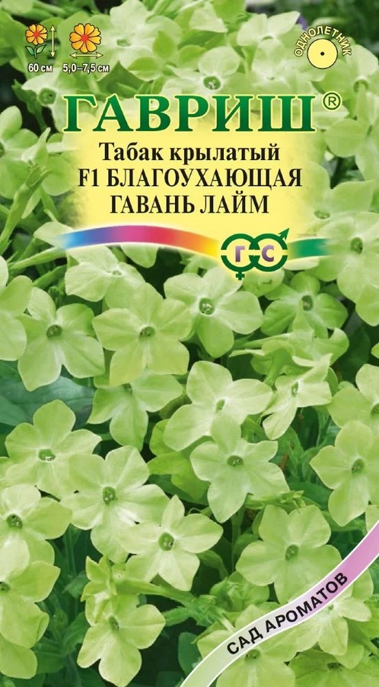 Табак душистый F1 Благоухающая гавань лайм, 4 шт. Сад ароматов.