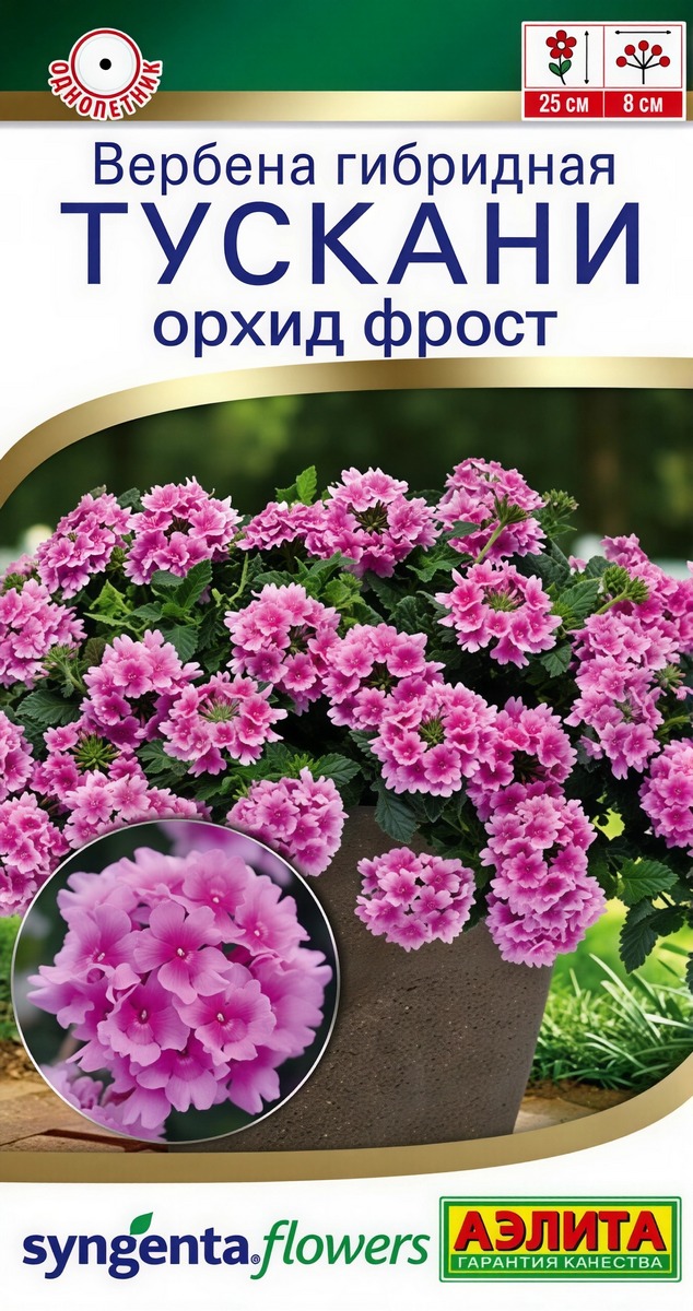 Вербена Тускани орхид фрост, 5 шт.