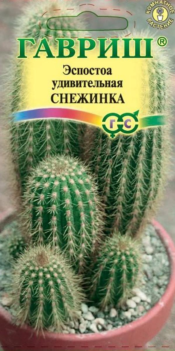 Эспостоа шерстистая Снежинка, 5 шт.