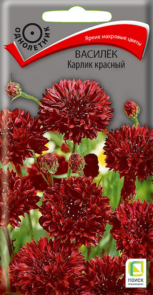 Василёк Карлик красный, 0,1 г