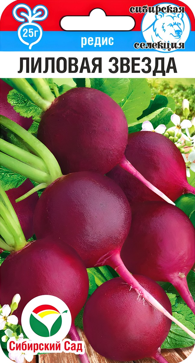 Редис Лиловая звезда, 2 г