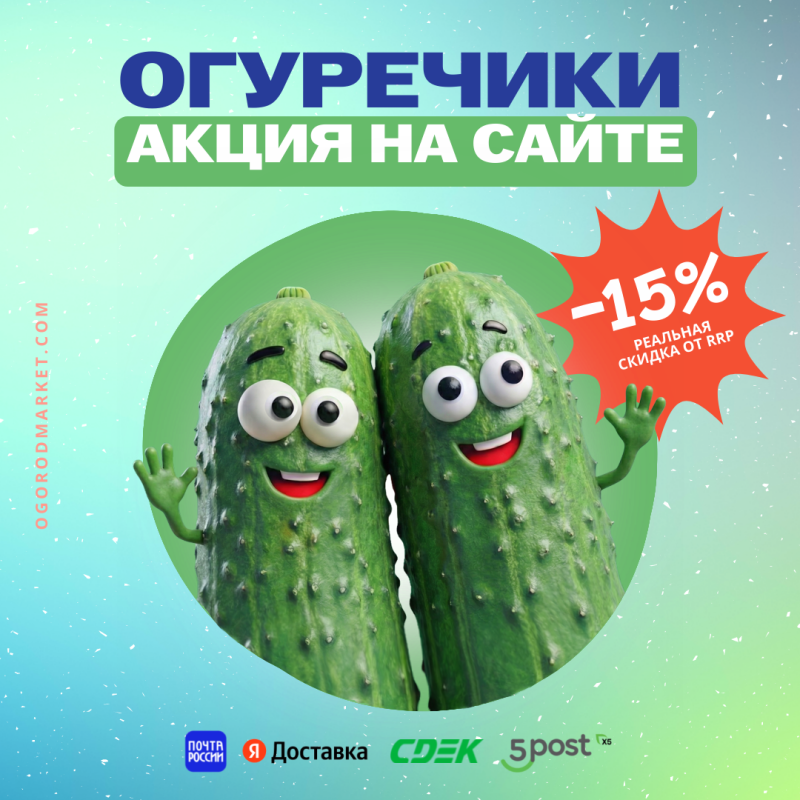 Популярные сорта огурцов