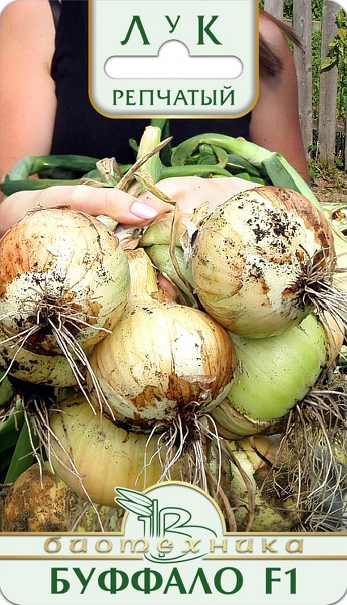 Лук репчатый Буффало F1, 100 шт. Биотехника