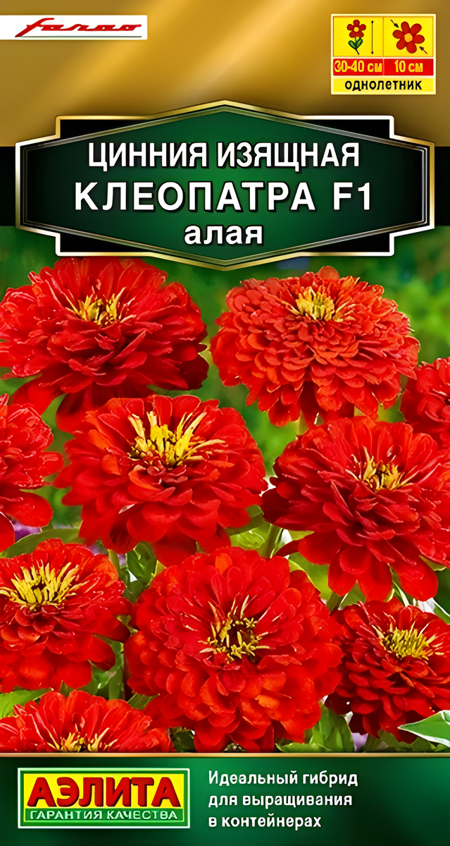Цинния Клеопатра F1 алая, 12 шт.
