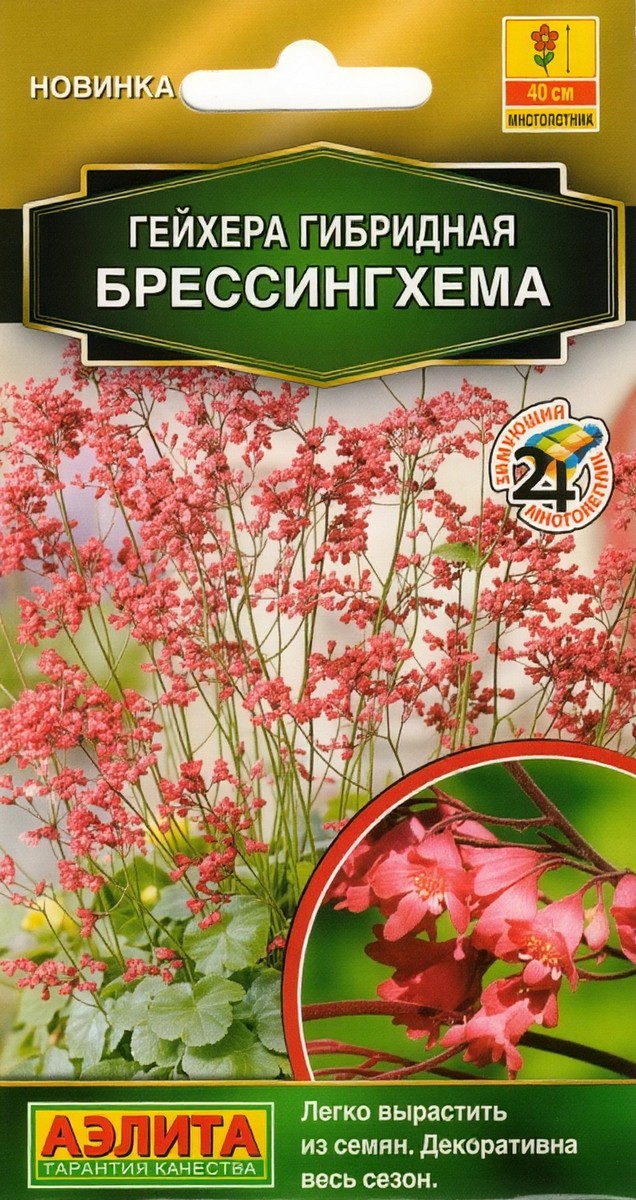 Гейхера гибридная Брессингхема, 0,05 г