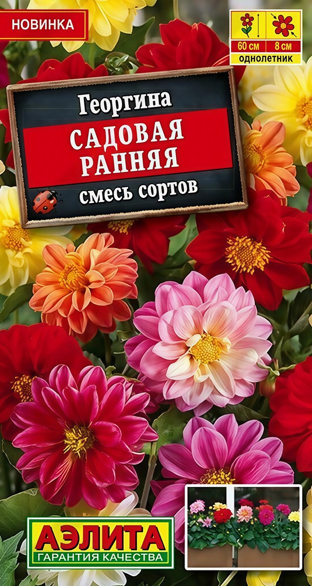 Георгина Садовая ранняя, смесь сортов, 0,3 г