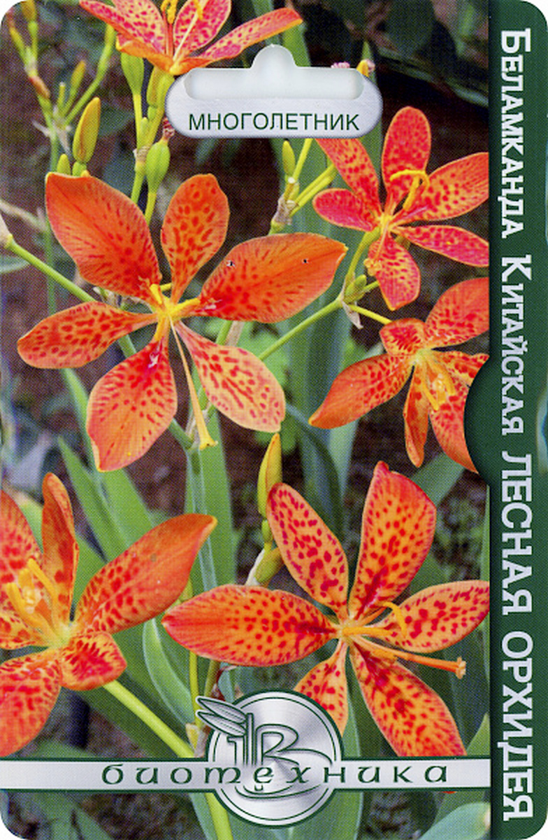 Беламканда китайская Лесная орхидея, 6 шт. Биотехника